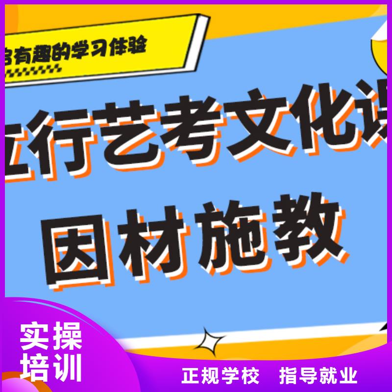 艺考文化课培训高考语文辅导实操培训