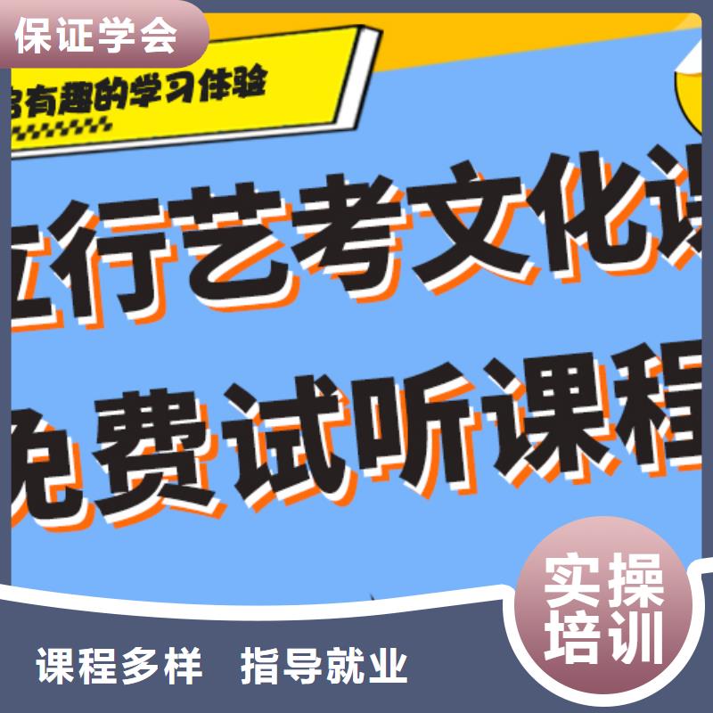 艺考文化课培训高考语文辅导实操培训