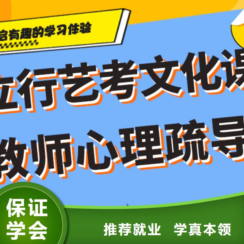 艺考生文化课补习学校艺考生面试辅导学真技术