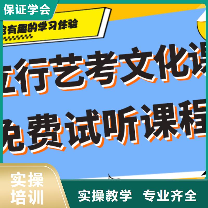 藝考生文化課補習學校高考補習學校學真技術