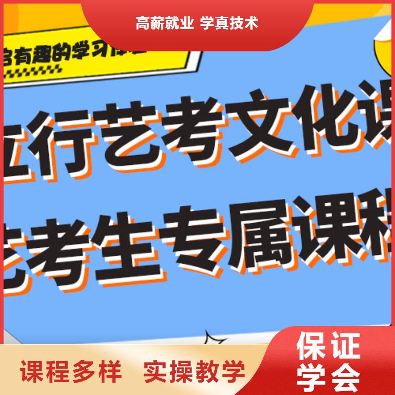 藝考文化課輔導班高考語文輔導理論+實操