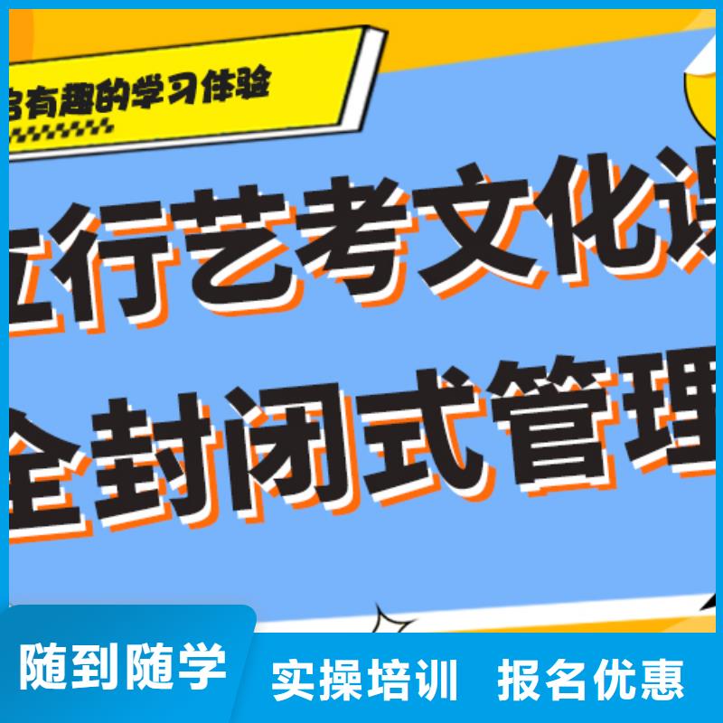 藝考文化課輔導班高考語文輔導理論+實操