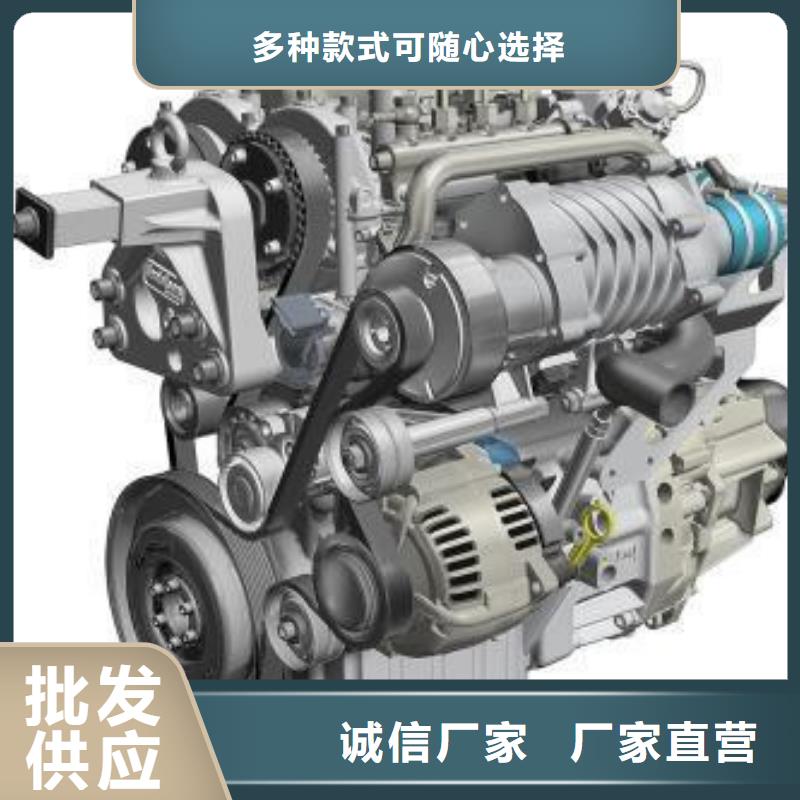 292F雙缸風(fēng)冷柴油機大廠質(zhì)量可靠