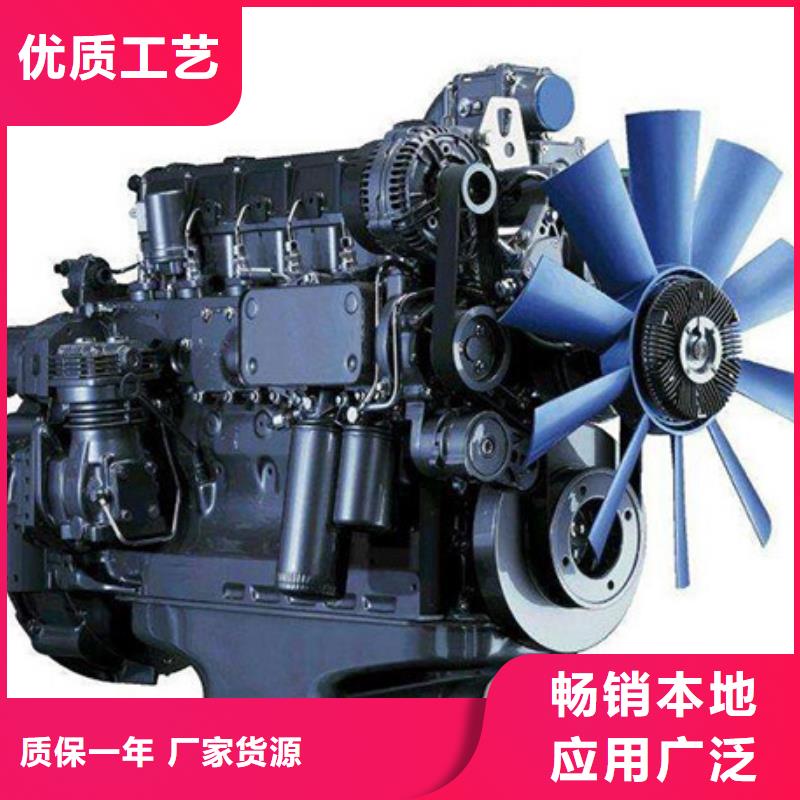 有現(xiàn)貨的貝隆柴油發(fā)電機(jī)本地廠家