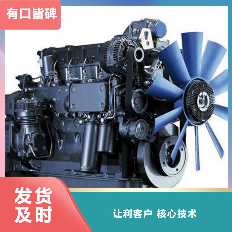 專業(yè)銷售貝隆柴油發(fā)電機質量有保證