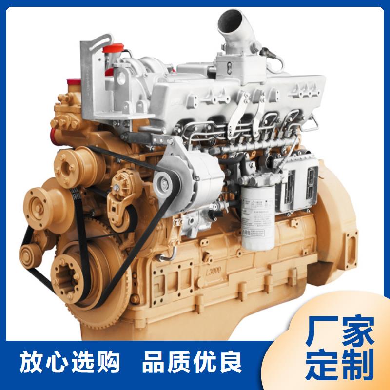貝隆柴油發(fā)電機(jī)廠家-可來(lái)廠考察
