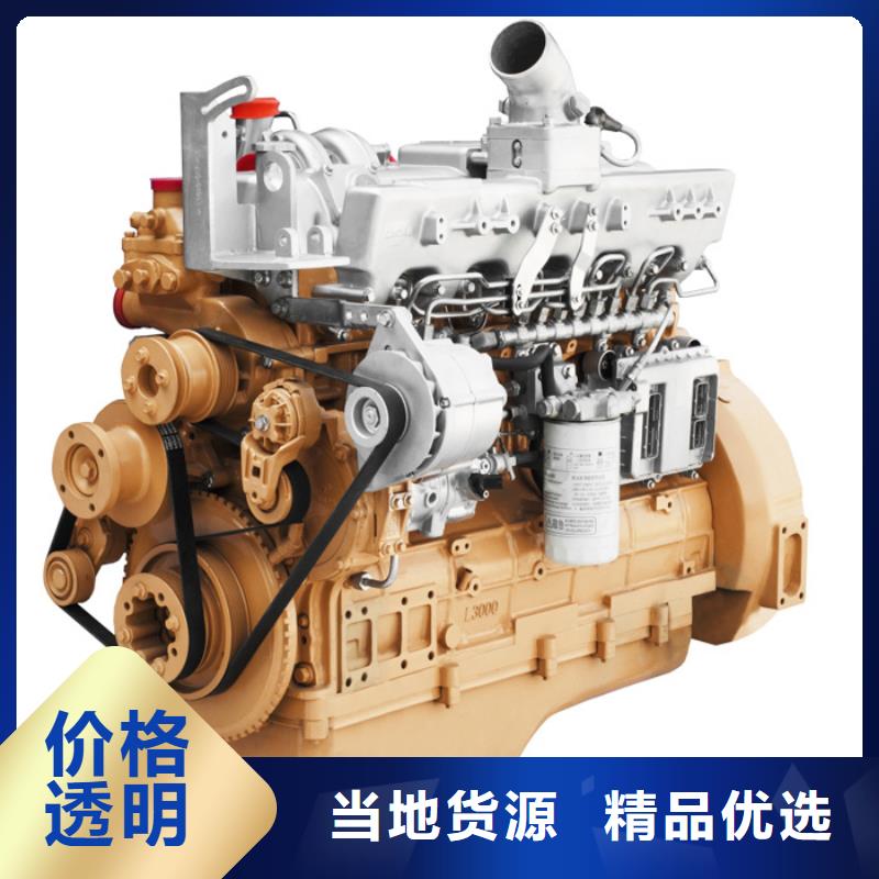 批發(fā)貝隆柴油發(fā)電機的廠家