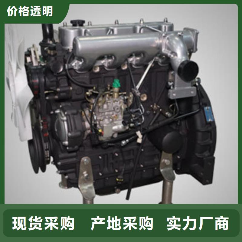 口碑好貝隆柴油發(fā)電機廠家