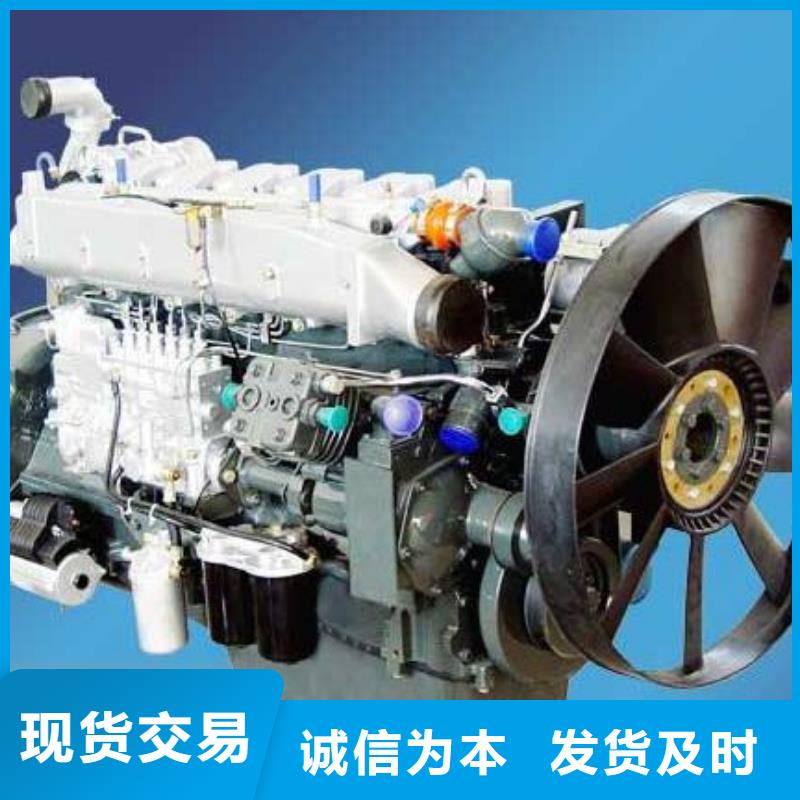 貝隆柴油發(fā)電機(jī)供應(yīng)廠家