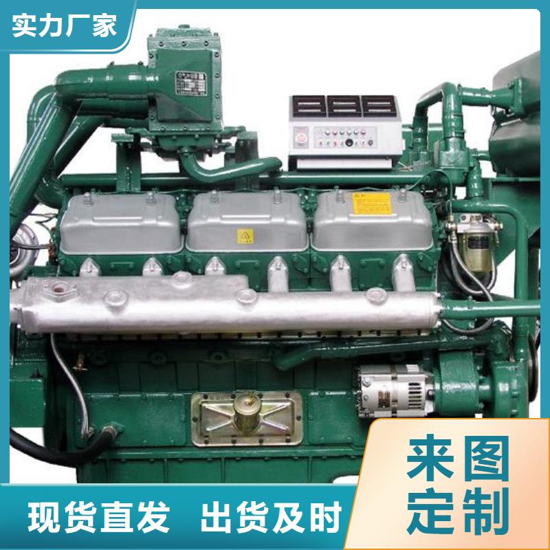 貝隆柴油發(fā)電機(jī)廠家-可來(lái)廠考察