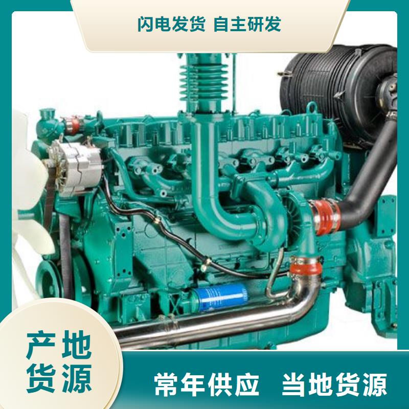 支持定制的貝隆柴油發(fā)電機公司