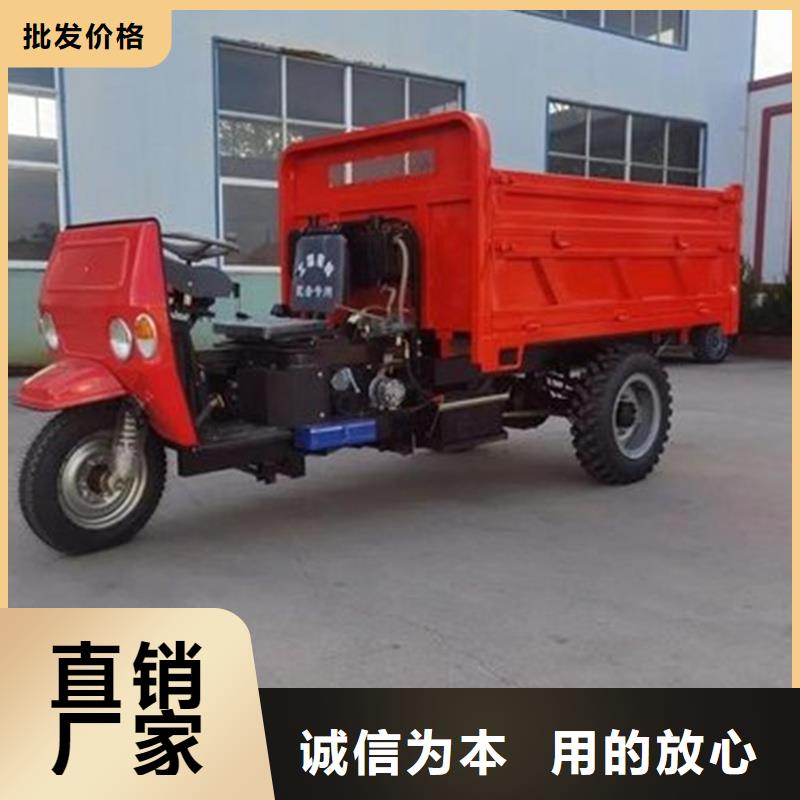 供應(yīng)（瑞迪通）柴油三輪車(chē)_品牌廠家