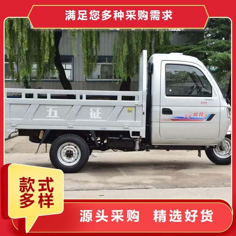 電動(dòng)三輪車廠家-做工精細(xì)