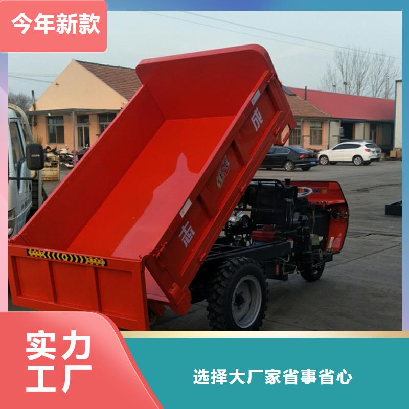 （瑞迪通）柴油農(nóng)用三輪車(chē)可靠滿意