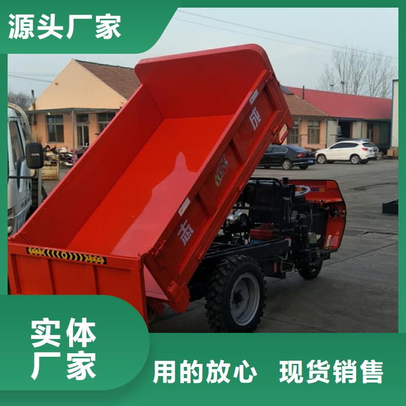 （瑞迪通）電動(dòng)工程三輪車價(jià)格低出貨快