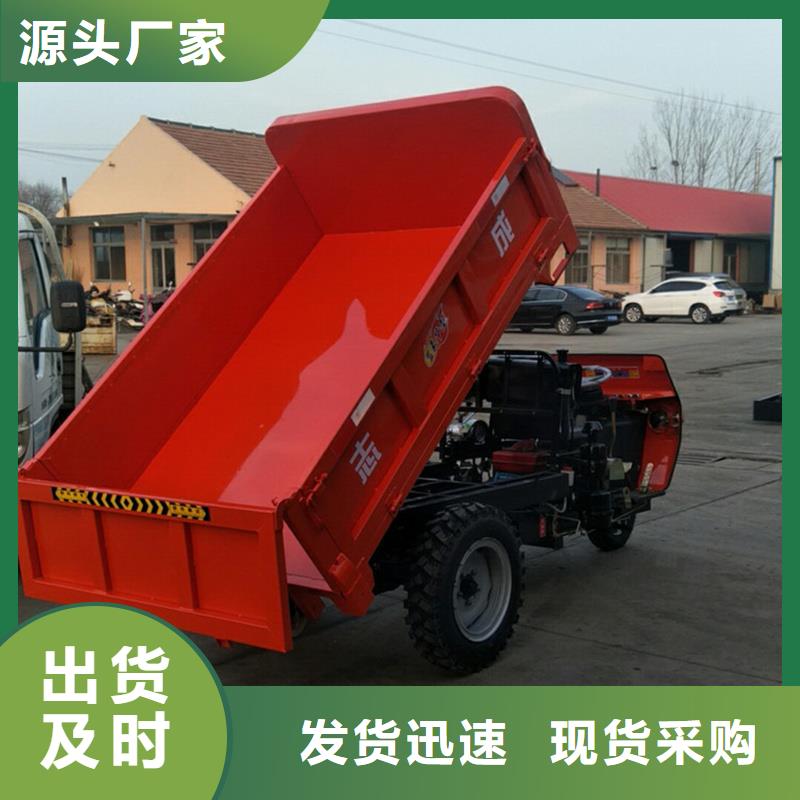 供應(yīng)（瑞迪通）電動工程三輪車_誠信廠家