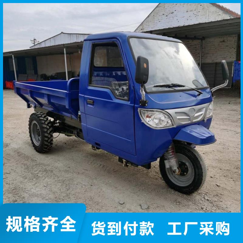 瑞迪通三轮车品牌供货商