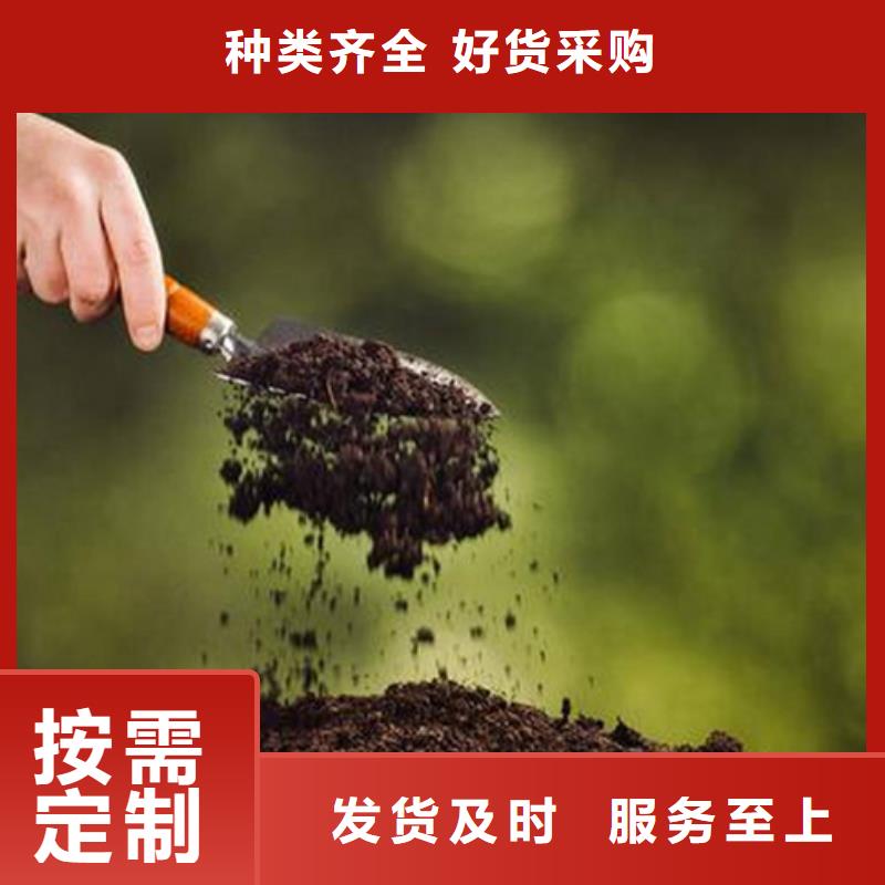 夯土墻專(zhuān)用固化劑現(xiàn)貨充足