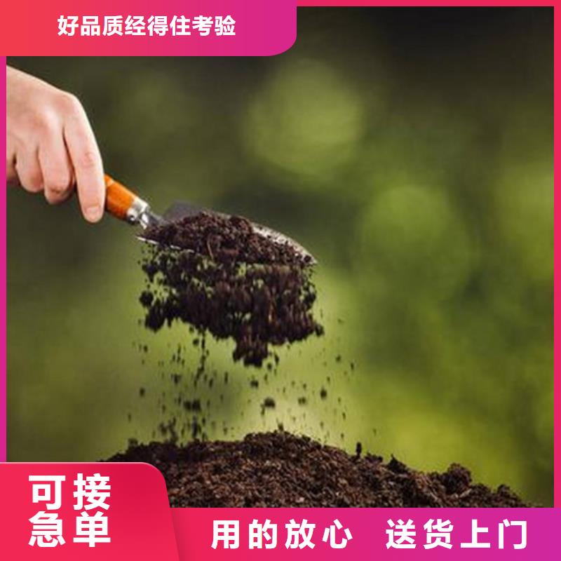 原生泰土壤固化劑-可在線咨詢