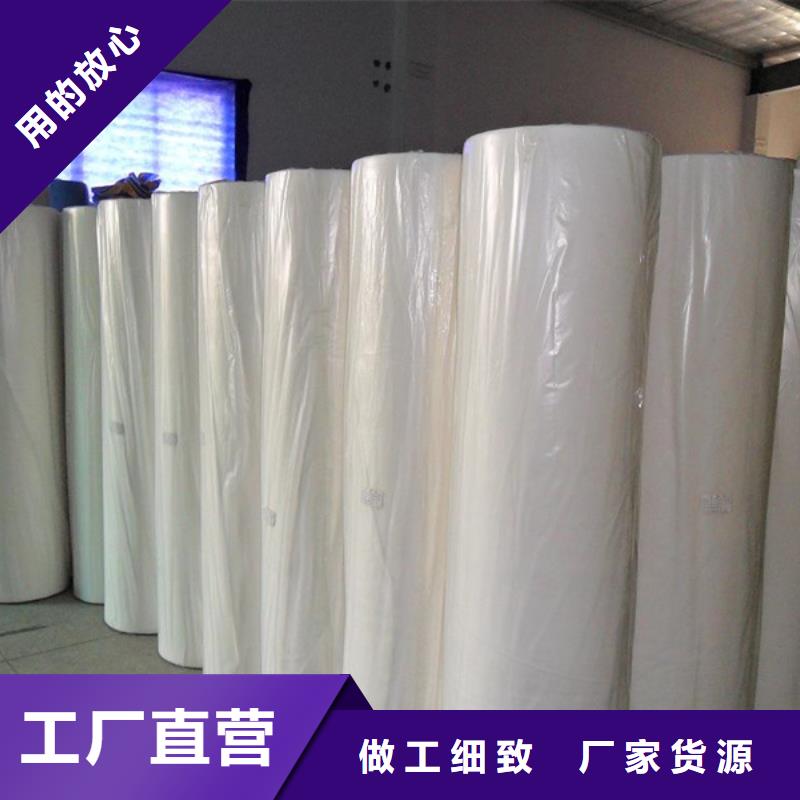 信泰源窗簾用無紡布圖片-廠家