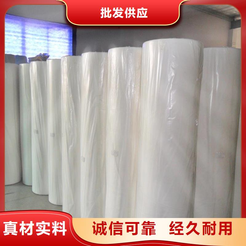 窗簾用無紡布老品牌值得信賴