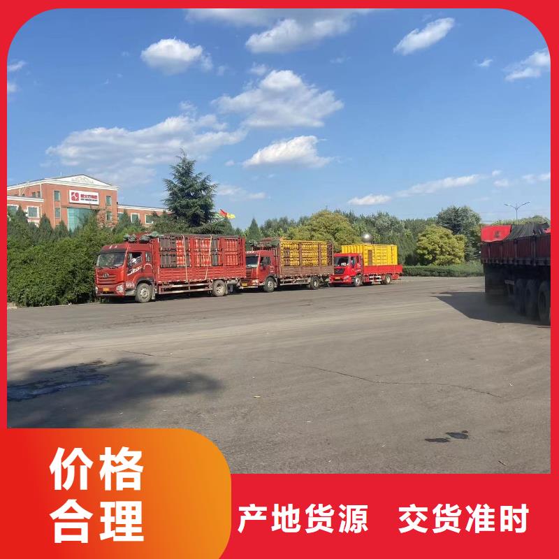 发电机出租租赁发电机电缆线出租备用电源出租应急发电机出租租赁发电机/新方式实力公司