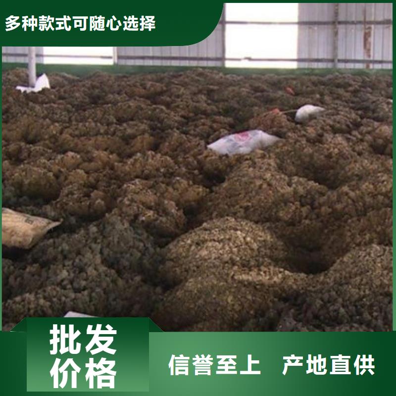 【含銅泥光伏板回收專業(yè)回收】