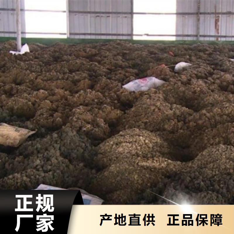 含铜泥,阳能光伏板回收大量回收