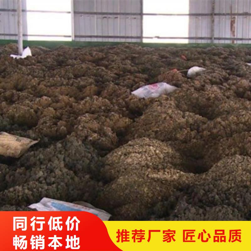 【含铜泥】回收太阳能光伏板快速