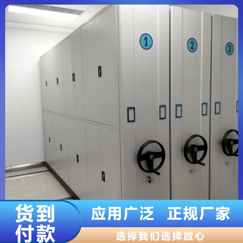 現(xiàn)狀和發(fā)展趨勢預(yù)測【世曄】香樟木密集架