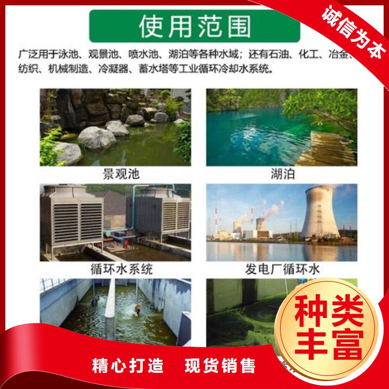  杀菌灭藻剂厂家直发