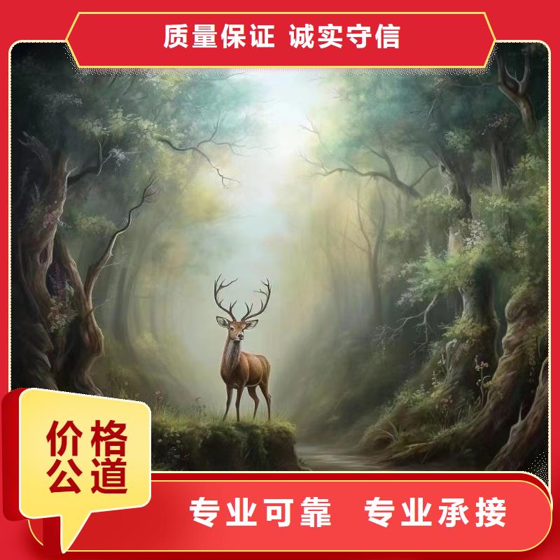 地面游戏彩绘手绘涂鸦公司