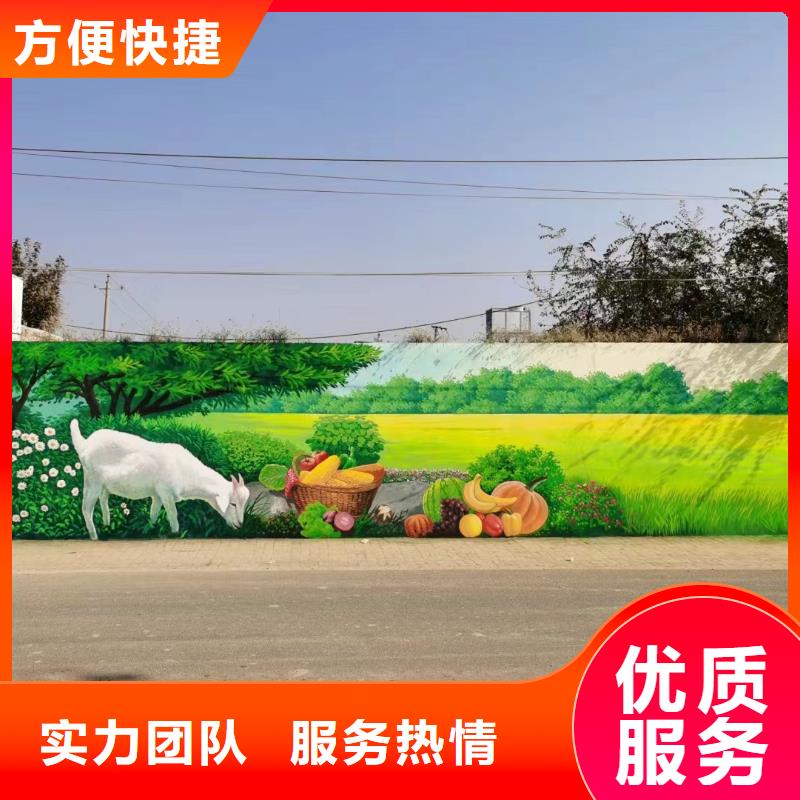 美丽乡村振兴彩绘墙绘团队
