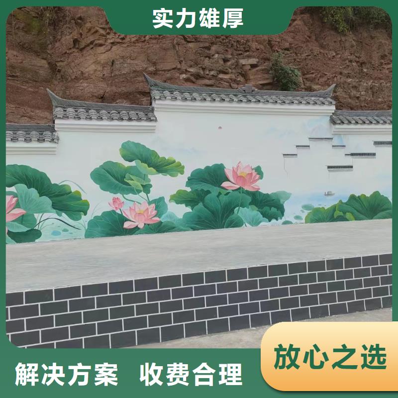 美丽乡村振兴彩绘墙绘团队