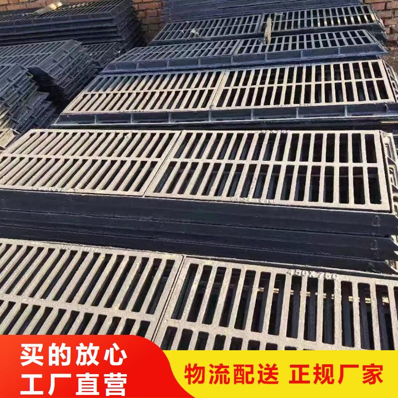 爬梯踏步球墨鑄鐵全國配送建通鑄造廠家