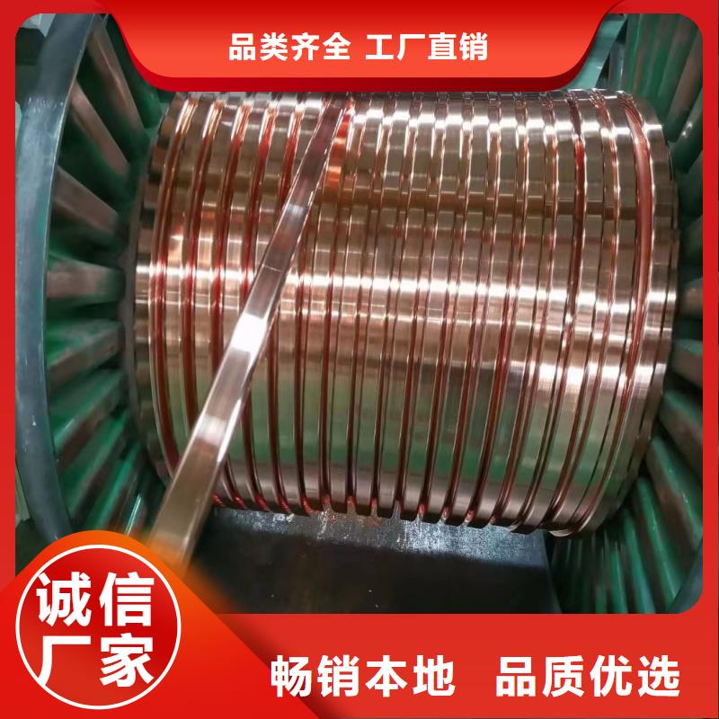紫銅排實體廠家