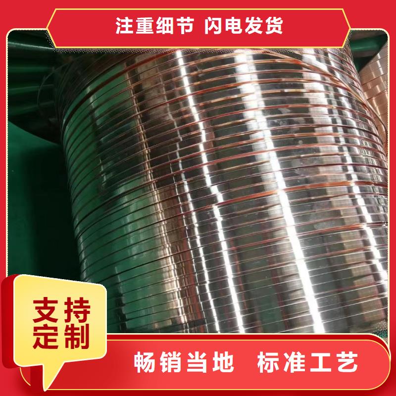 鍍錫紫銅排廠家