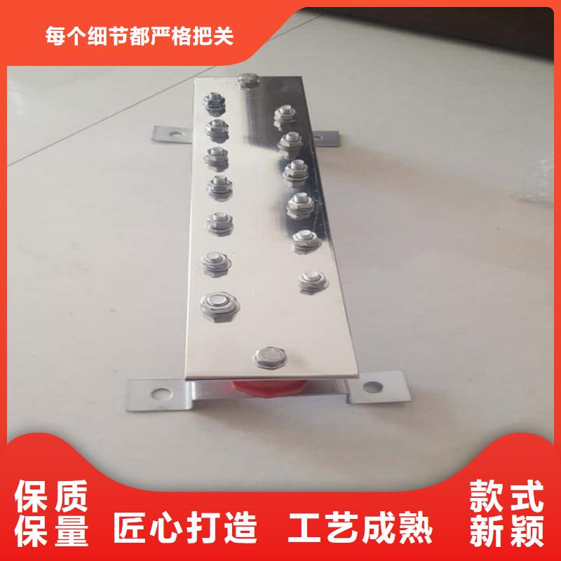 紫銅排專注產(chǎn)品質(zhì)量與服務(wù)
