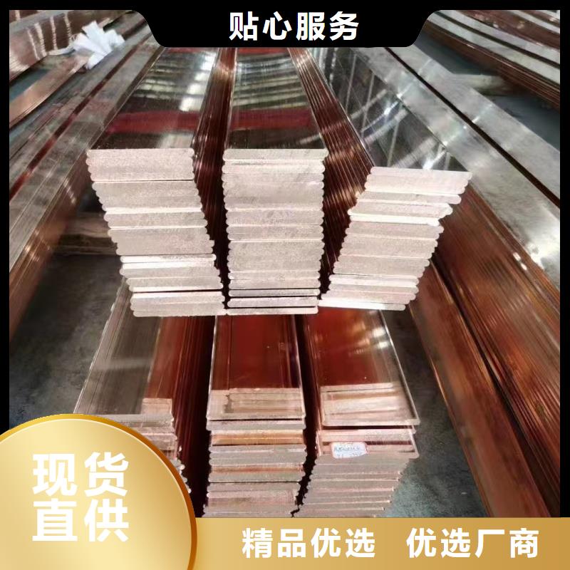 紫銅排精選廠家好貨