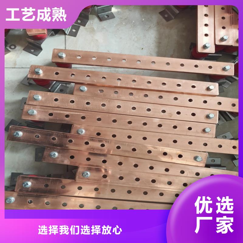 紫銅排廠家直營