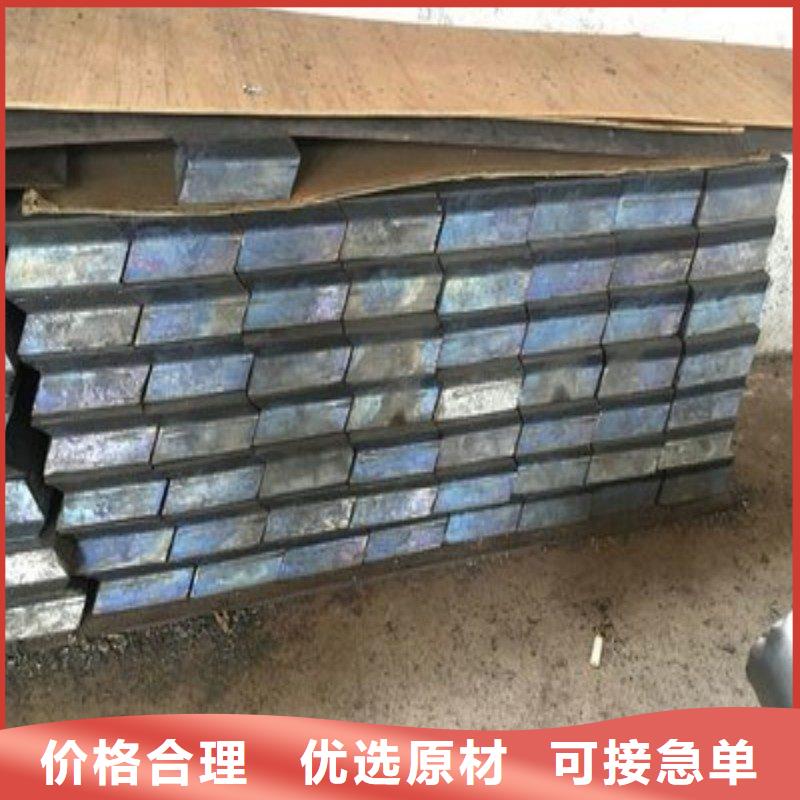 鉛門支持非標(biāo)定制