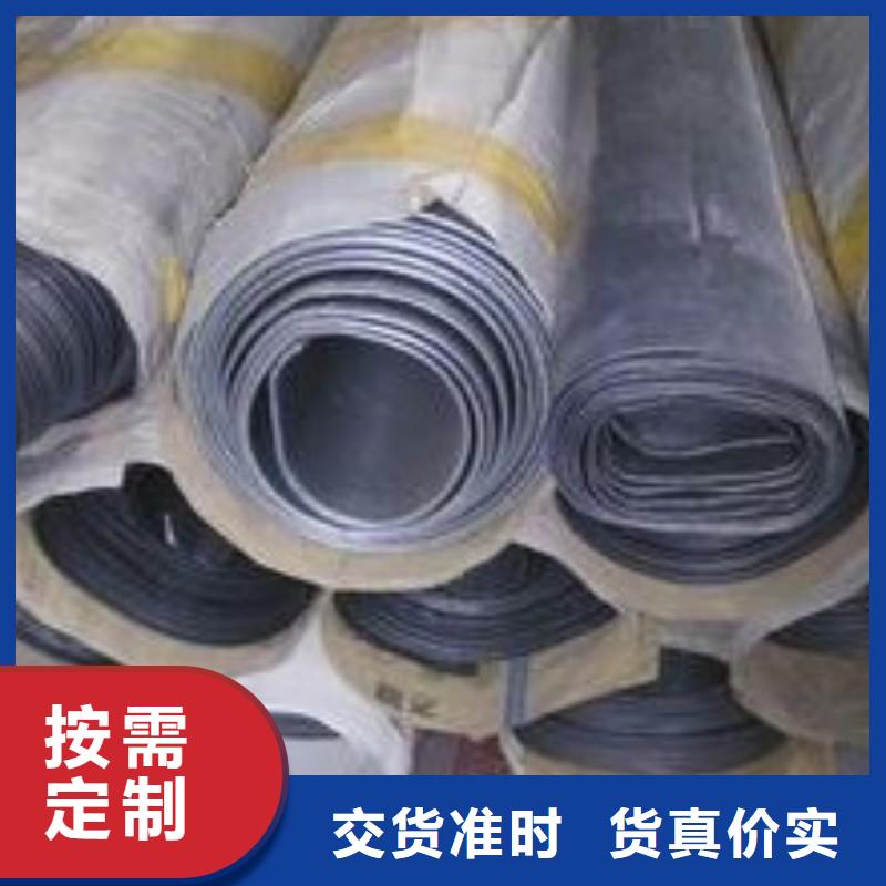 鉛門支持非標(biāo)定制