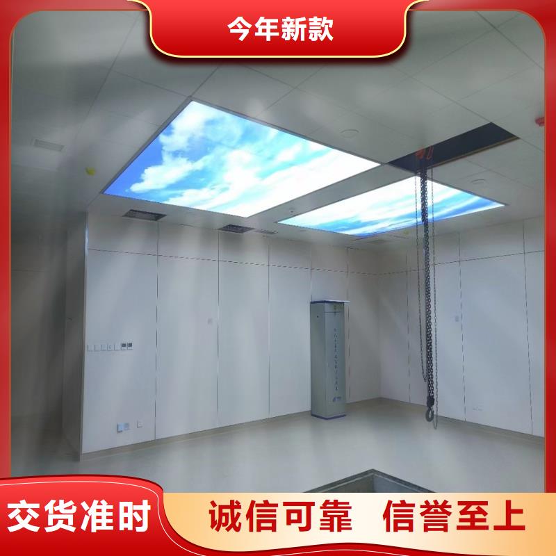 X射线防护铅门-物优价廉