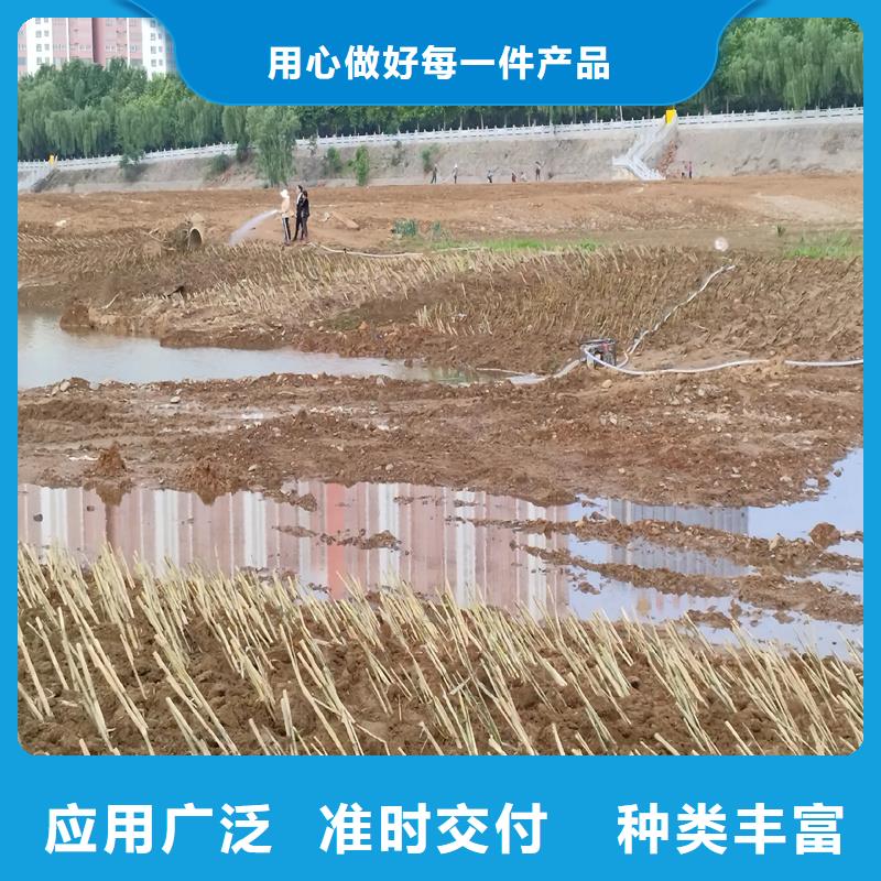 芦苇苗饲料用芦苇苗服务周到