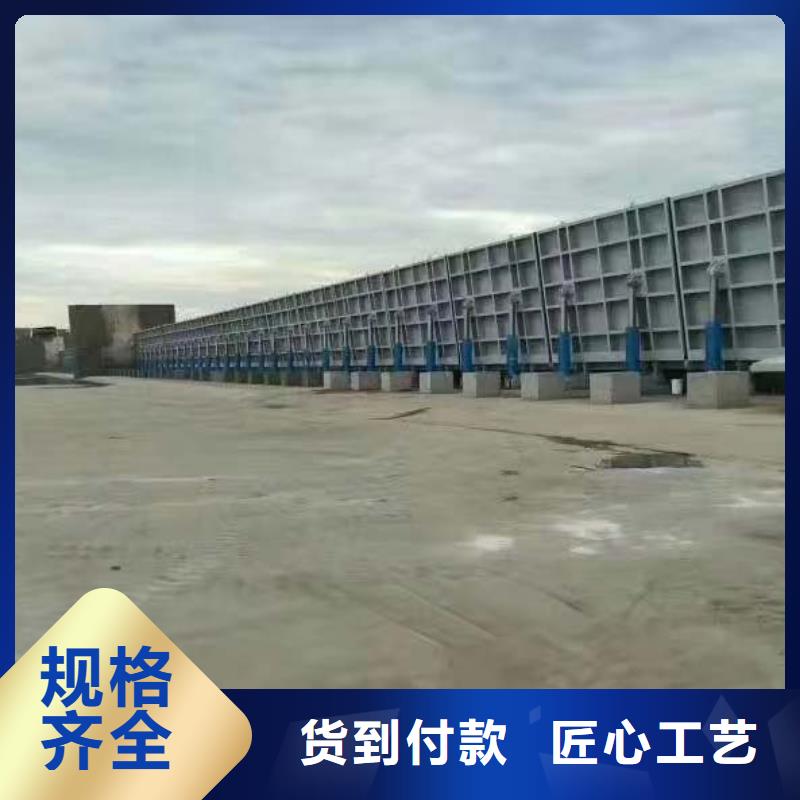 钢坝拦河闸门精选货源