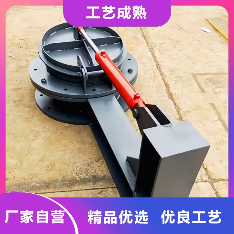 铸铁闸门高标准农田质量好