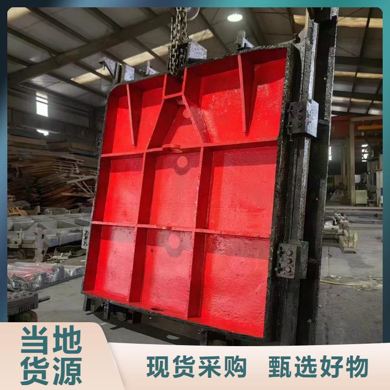 铸铁闸门水利闸门敢与同行比质量