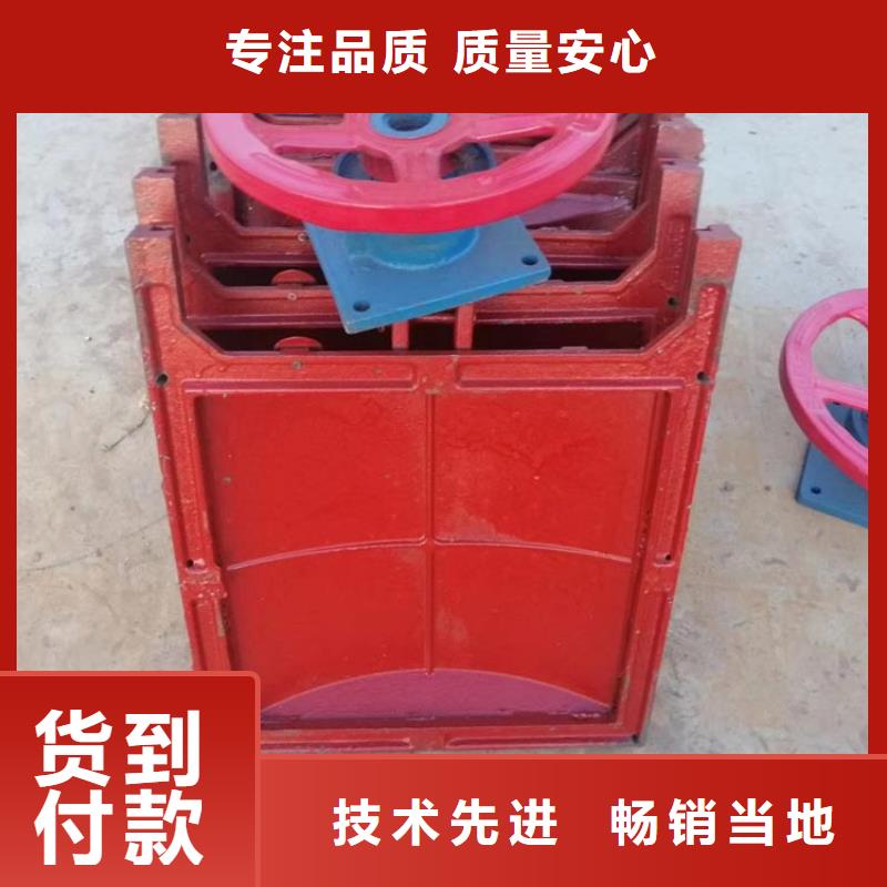 铸铁闸门高标准农田质量好