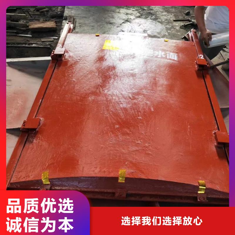 铸铁闸门水利闸门敢与同行比质量