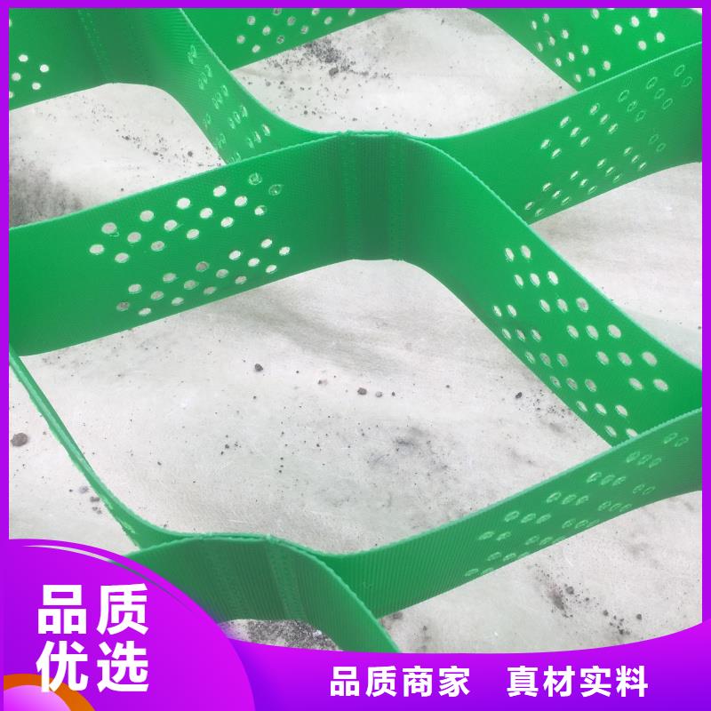 土工格室蜂巢格室哪有卖支持定制贴心售后